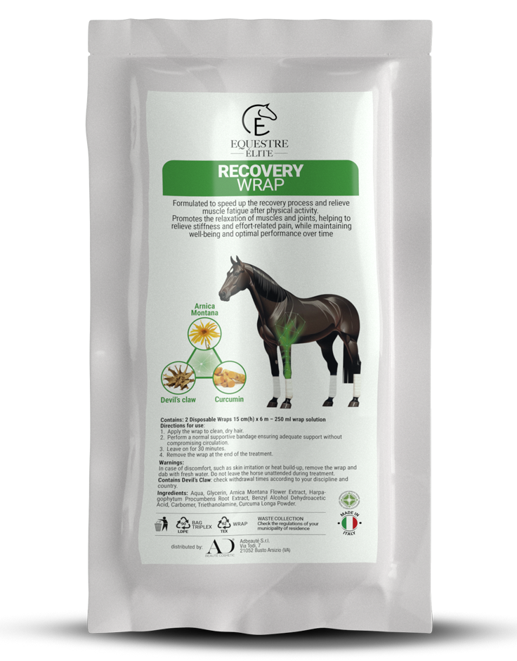 bendaggi cavallo