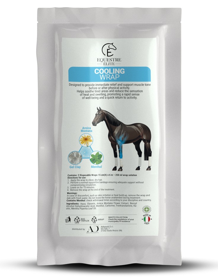bendaggi cavallo
